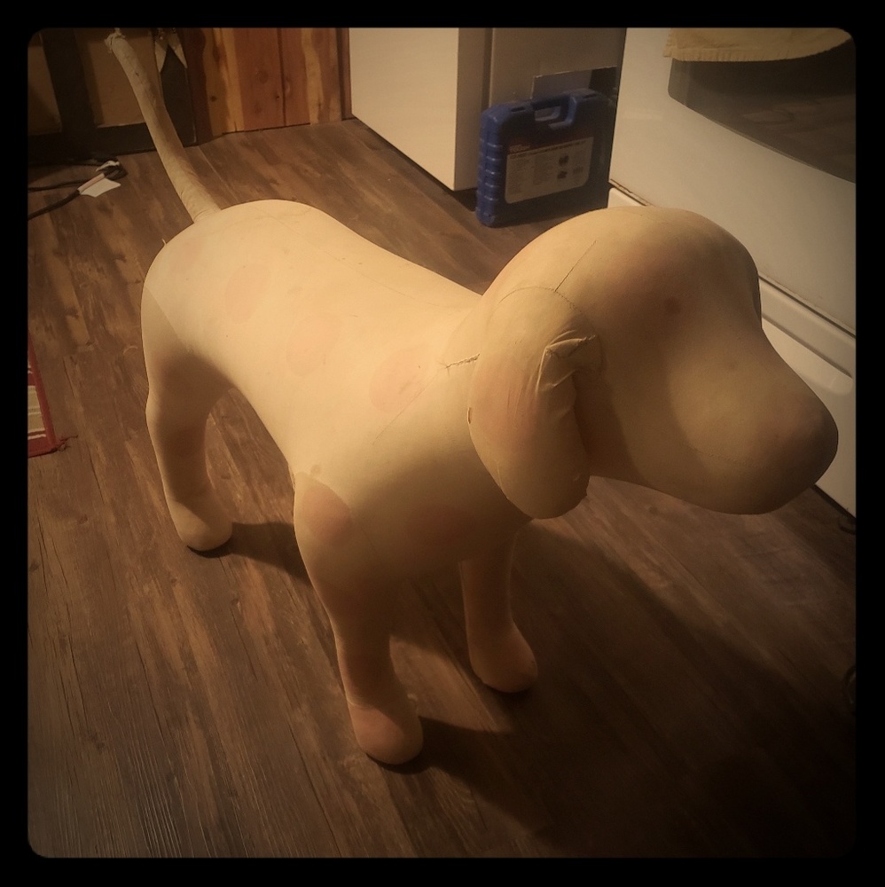 🧨 Very Rare🧨 Pink Collector Dog